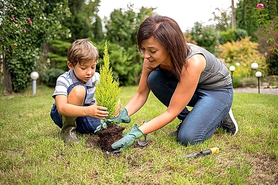 mother and child plant a tree